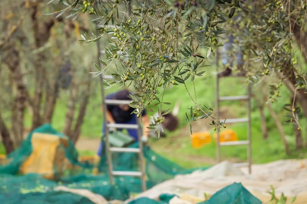 Farm stay Villa Cilnia Arezzo
